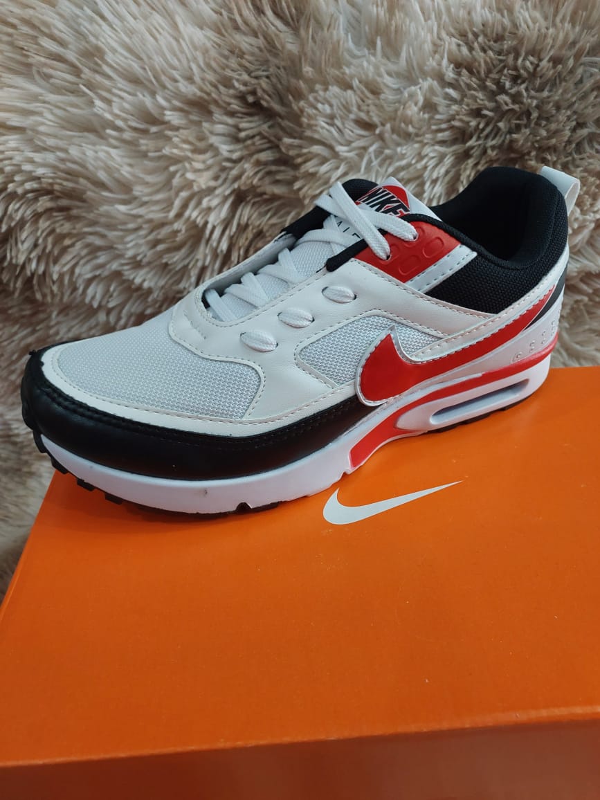 CHAMPIONES NIKE AIR MAX ORIGINALES