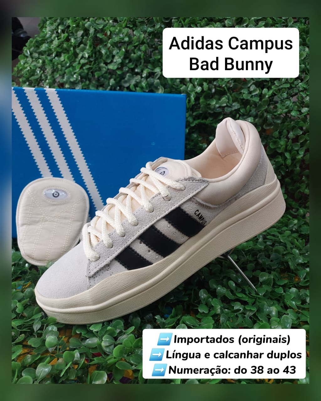 CHAMPIONES ADIDAS CAMPUS ORIGINALES