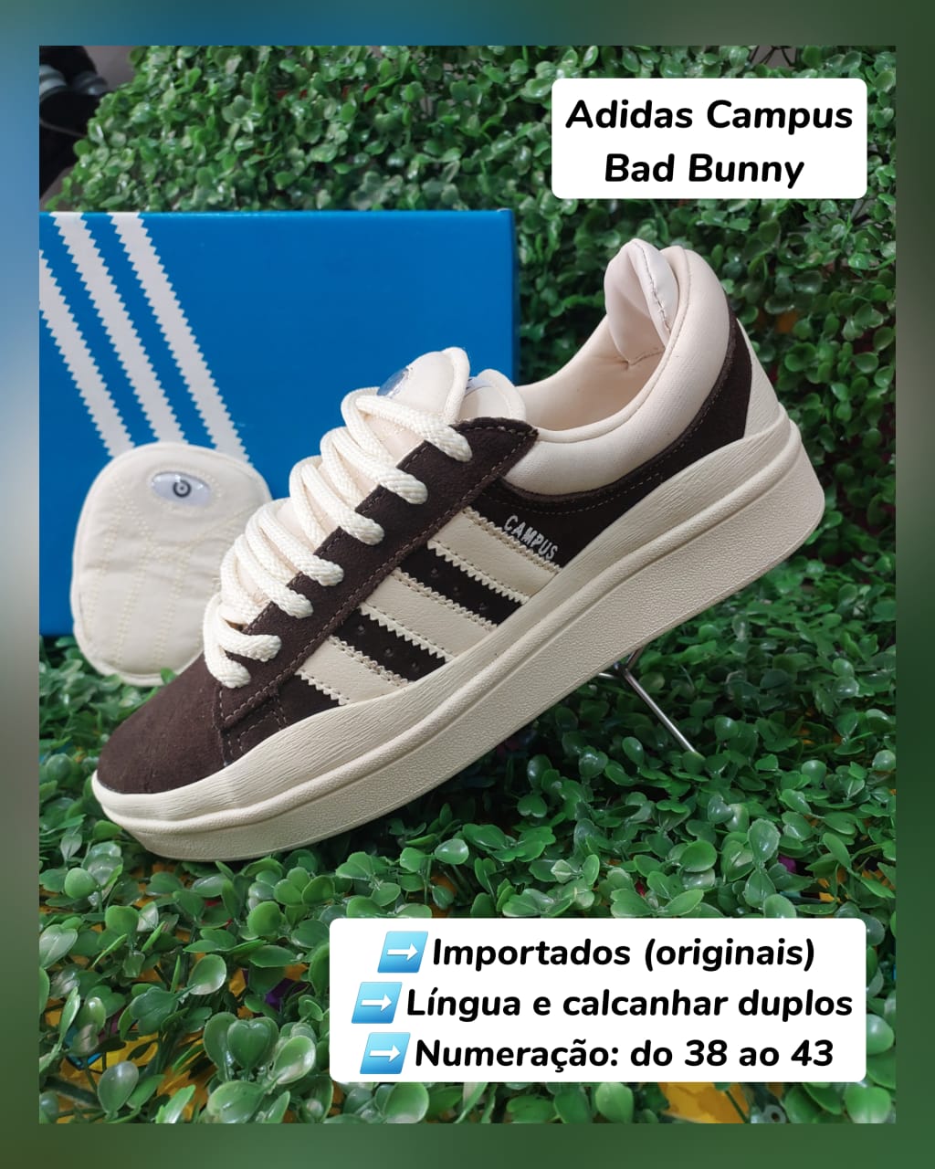 CHAMPIONES ADIDAS CAMPUS ORIGINALES