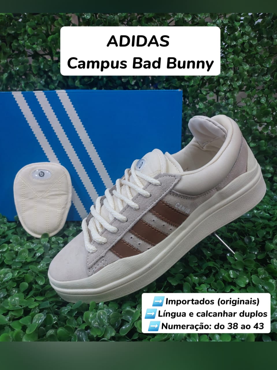 CHAMPIONES ADIDAS CAMPUS ORIGINALES